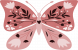 peachbut-farver.png